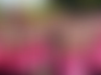 Octobre rose, Est-ce que l’on en fait trop ?