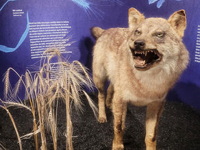 Agenda Culture Toulouse - Novembre 2025