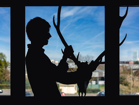 Occitanie : Terre d’archéologie