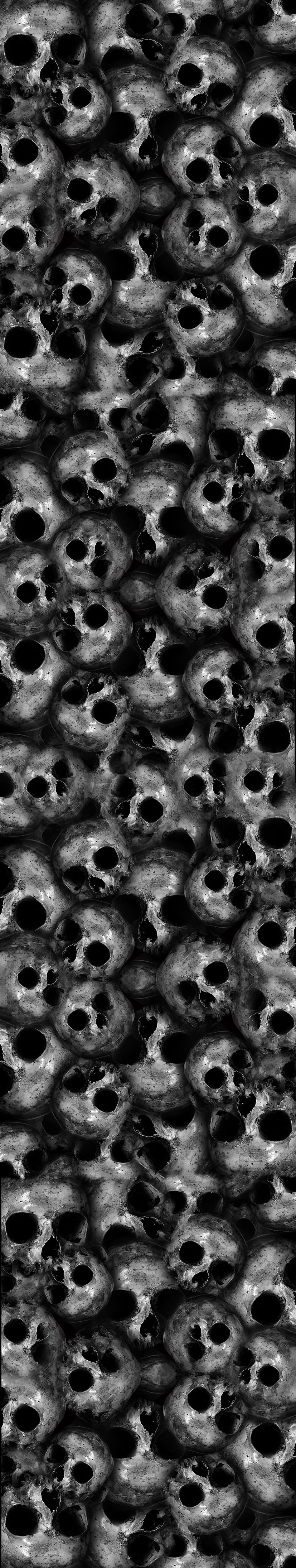 skulls for bckground copy.jpg