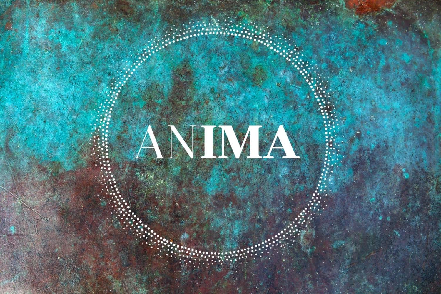 Anima | Restaurant | Braunton | Fine Dining