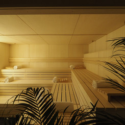 WELLNESS & SPA