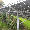 1280px-Dornbirn-Montfortstrasse_19-Gardening-Photovoltaik-01ASD.jpg