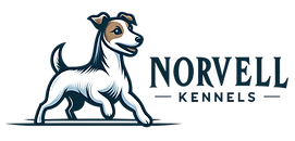 Jack Russell Terriers from Norvell Kennels - London, KY