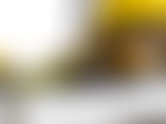 Transform your property with the experts at Tampa Bay ADU. As your trusted ADU contractor, we design and build functional, modern spaces tailored to your needs. Grow your home today!