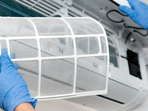 The Service Pros provides expert solutions for Mold and Indoor Air Quality, helping create healthier indoor environments through thorough inspections, testing, and professional remediation.