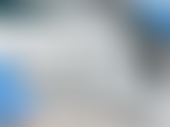 The Service Pros provides expert solutions for Mold and Indoor Air Quality, helping create healthier indoor environments through thorough inspections, testing, and professional remediation.