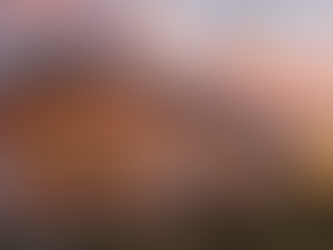 Can I Add an ADU on My Property? The Ultimate Tampa Bay Guide