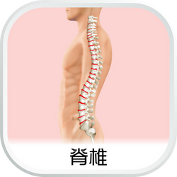 EHC_SubCat_aw_脊椎