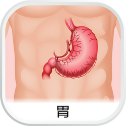 EHC_SubCat_aw_胃