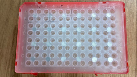 【「リサーチハック」で研究効率を底上げする】ハック①：96 well magnet standを自作する