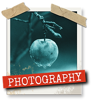 Photography - Master - Red & black (3).png