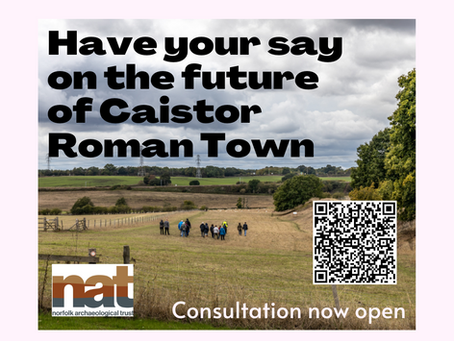 Have your say on the future of Caistor Roman Town