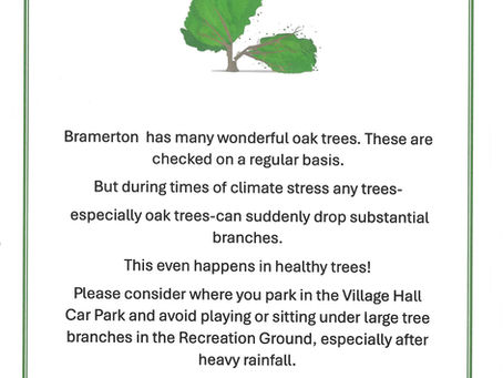Don't Play or Sit Under Large Trees!
