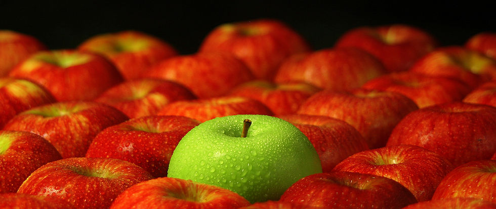 One green apple amongst a bunch of red apples