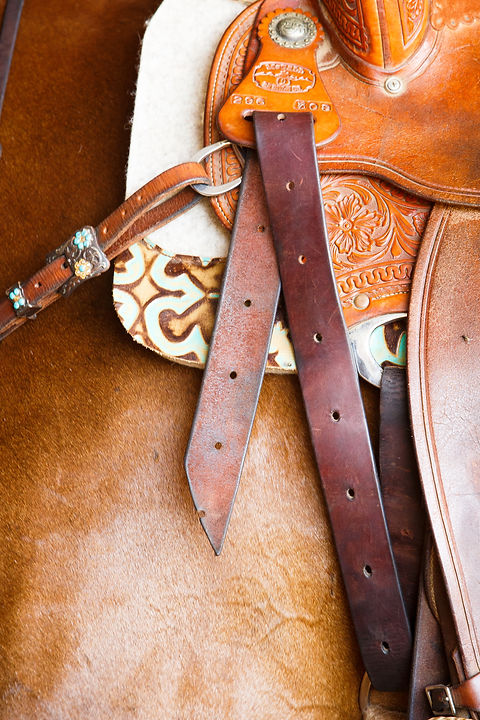 VW916 (108 of 170).jpeg