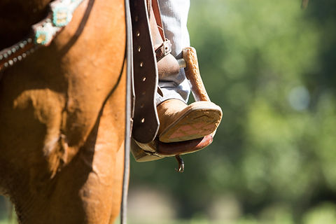 VW916 (165 of 170).jpeg