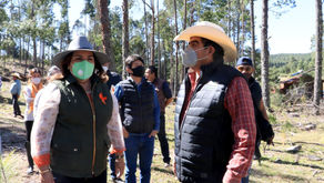 Promoverá Medio Ambiente acciones de recuperación forestal en Ahuazotepec