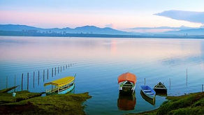 Caza furtiva acaba con pelicano blanco en presa El Tejocotal