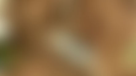 Hallan enésima toma huachicolera en Huauchinango