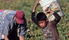 Trabaja Gobierno de Puebla en erradicación de trata, trabajos forzados y explotación infantil