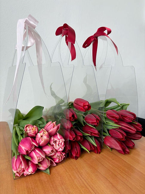 WhatsApp Image 2026-03-20 at 1.13.11 PM.jpeg