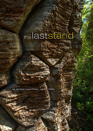 THE LAST STAND POSTER D_small.jpg