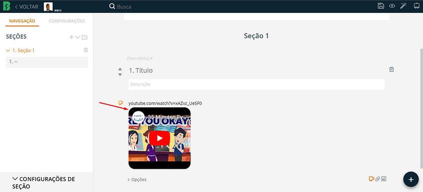 questionário 17.png