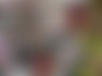𝐑𝐞𝐣𝐨𝐢𝐧𝐬 𝐥'𝐞́𝐪𝐮𝐢𝐩𝐞 𝐝𝐮 𝐒𝐒𝐈𝐀𝐄!