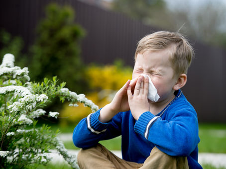How Full Is Your Histamine Bucket? Are You Ready For Spring?
