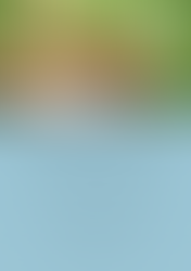 Vrijwilligersdagen maart 2026