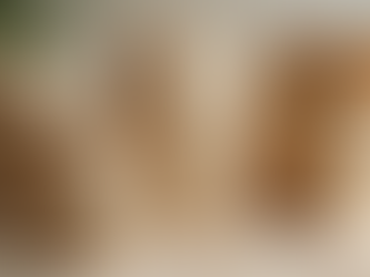 Eco-Friendly Biodegradable Bags for Sustainable Packaging