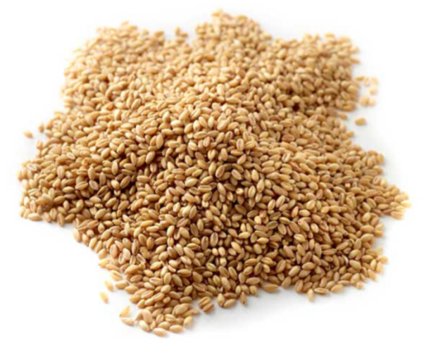 Hulled Wheat