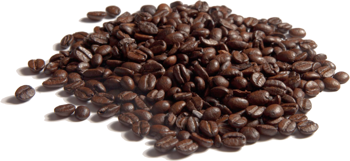 Brazilian Adventures