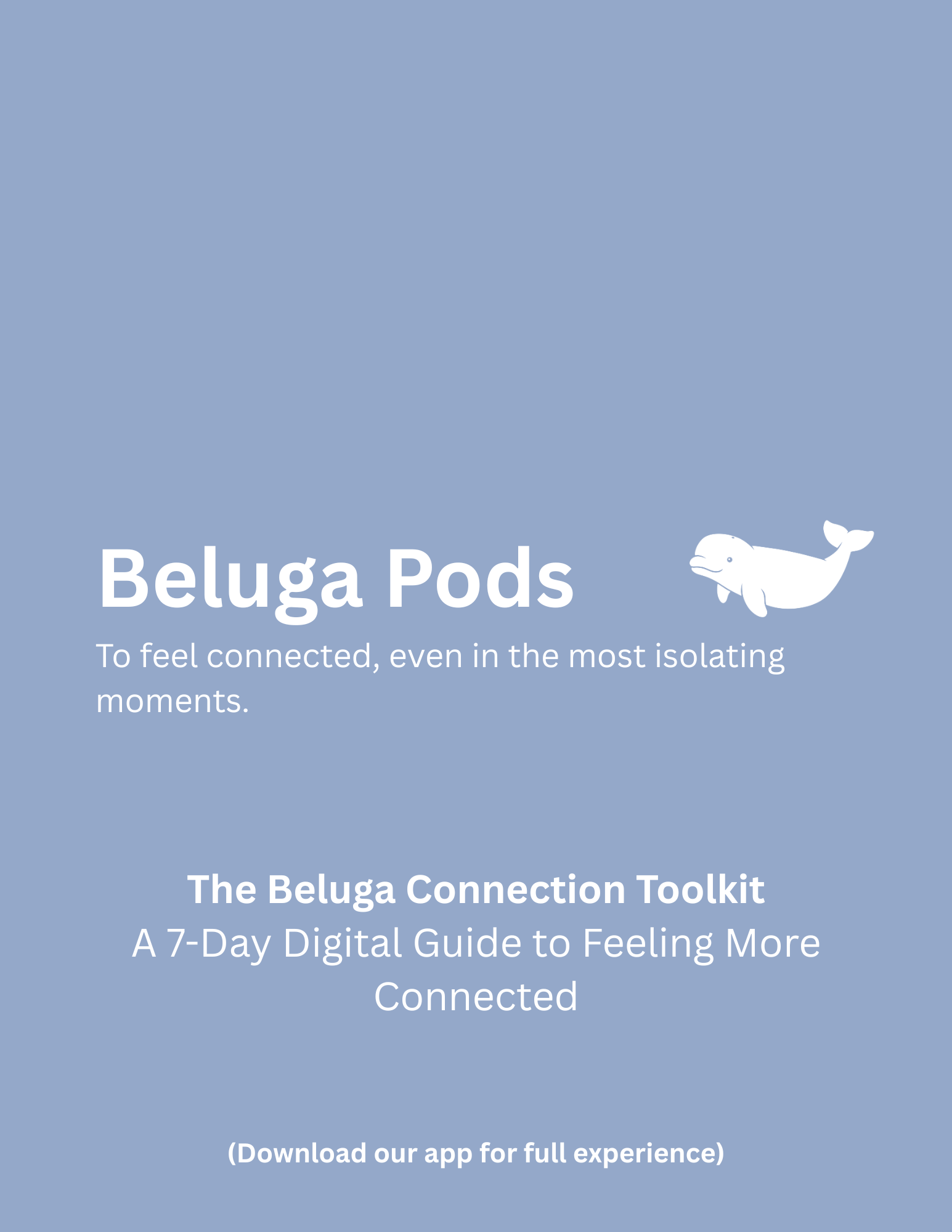 The Beluga Connection Toolkit