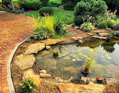 POND.png