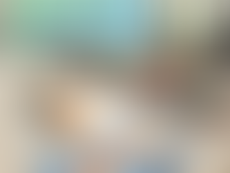 Eliminate Indoor Ant Colonies with TERRO T300B Liquid Ant Bait Stations