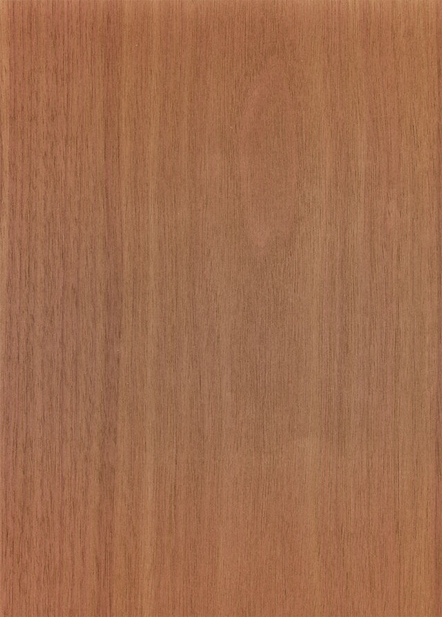 p0500_m.jpg