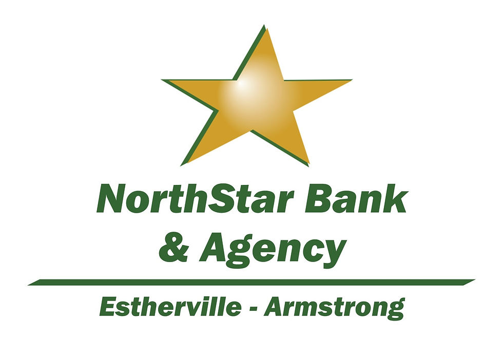 North Star Bank Logo