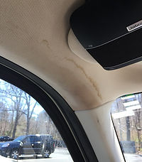 auto headliner damage.jpeg