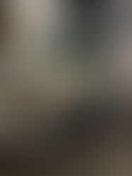 アメ車　直輸入　カスタム　整備　コンフィデント