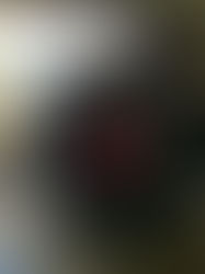 アメ車　直輸入　カスタム　整備　コンフィデント