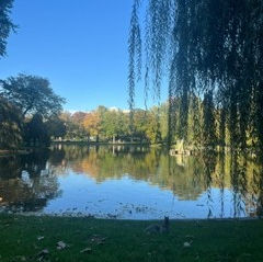 Water reflecting light and nature, symbolizing Jesus as Living Water and the sacred connection between faith and creation.