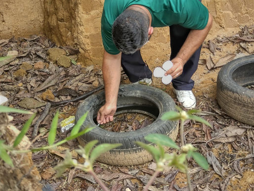 Semana Estadual de Combate à Dengue conta com programação especial em Ribeirão Pires