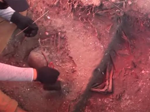 45 esqueletos e mais de 100 mil peças arqueológicas são encontrados em obra no MA