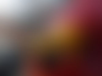 Vídeo. Fecombustíveis diz que devolução de imposto a clientes é fake