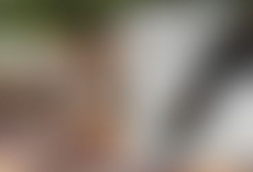 Com problemas psiquiátricos homem aterroriza bairro em MS