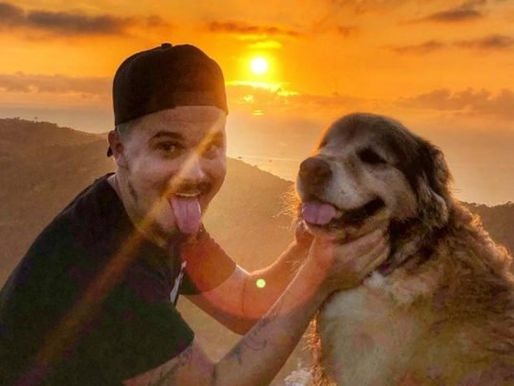 “Viajaram para sempre”: amigos lamentam morte de Jessi e cão nos EUA.