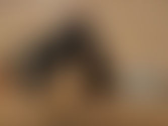 Homem que ameaçou moradores no DF após cão matar yorkshire é diplomata