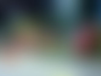 Mulher manda informação de blitz em grupo de mensagens e acaba presa em MG